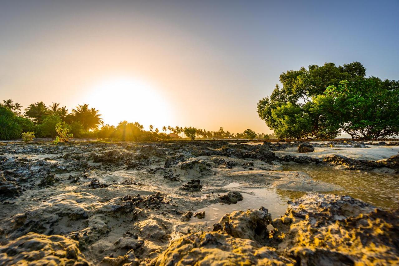 White Paradise Zanzibar Pongwe Exteriör bild